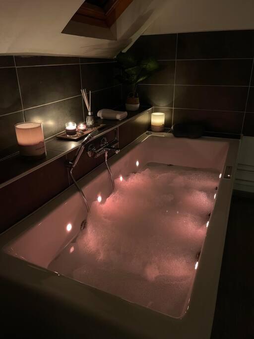 Mana - La Perle Des Isles , Superbe Maison Art Deco Avec Balneotherapie Villa *