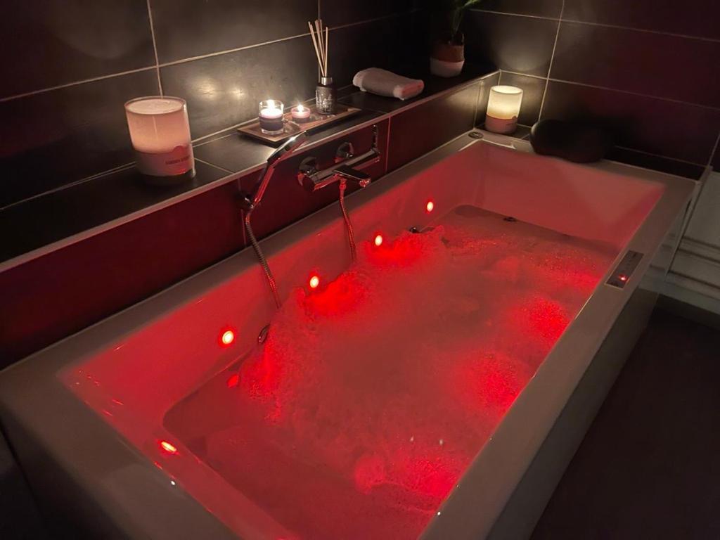 Mana - La Perle Des Isles , Superbe Maison Art Deco Avec Balneotherapie * Rethel